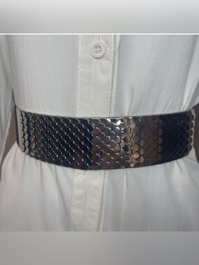 Silver tone metallic fish scale elastic waistband skinny belt